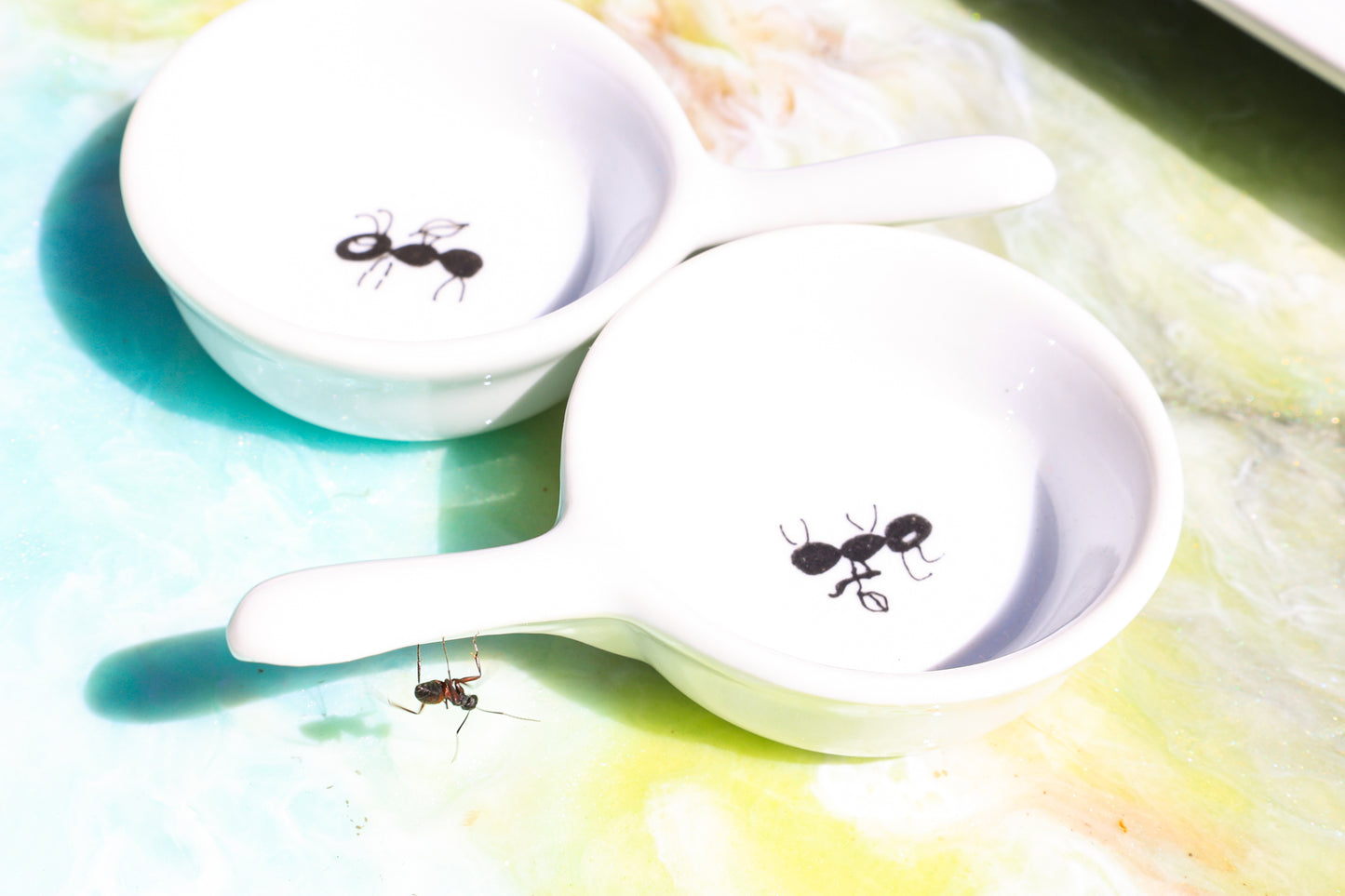 Conjunto hormigourmet "Las hormigas de Carmen" 1
