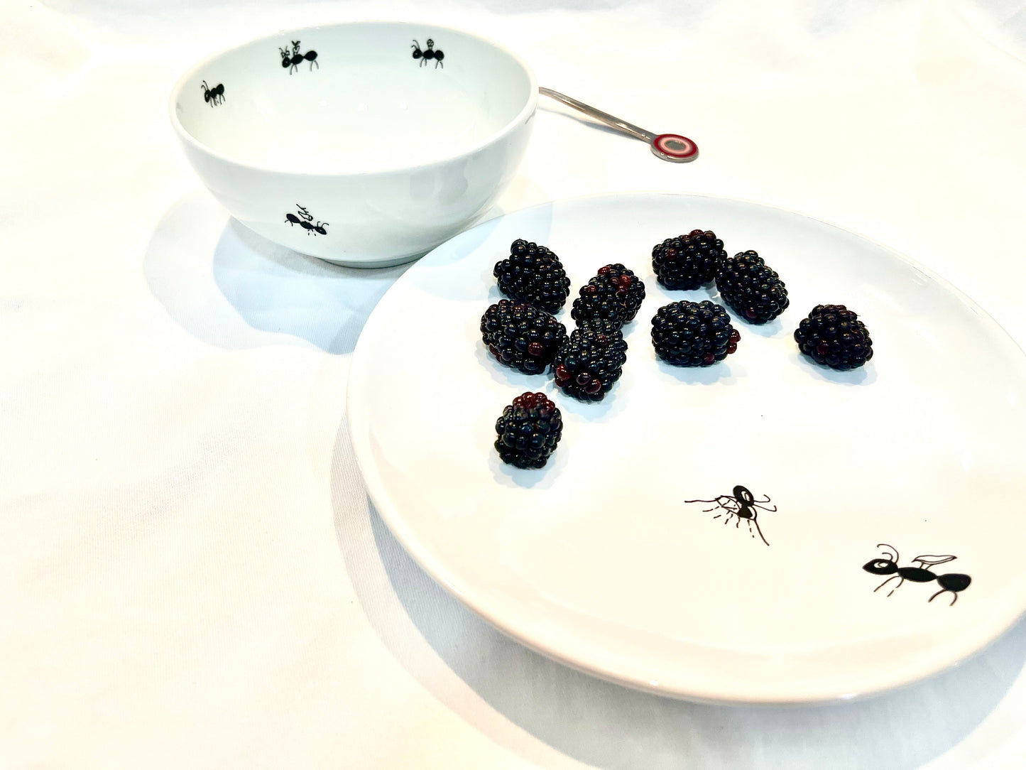 Conjunto hormigourmet "Las hormigas de Carmen" 1